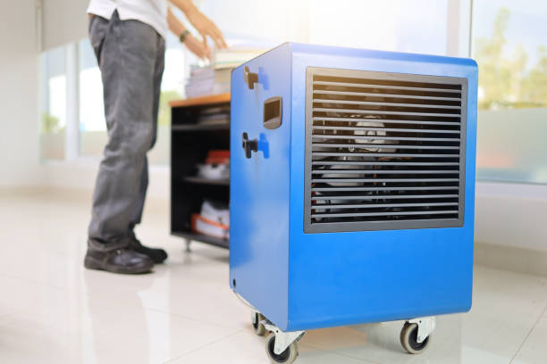 Best Emergency Mold Remediation  in Yucos, CA