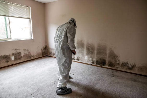Best HVAC Mold Inspection and Cleaning  in Yucos, CA